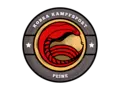 Kobra Kampfsport Peine e.V. in Peine